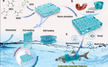 AFM：水下微电子封装的演变：一种通用的海洋可穿戴水凝胶