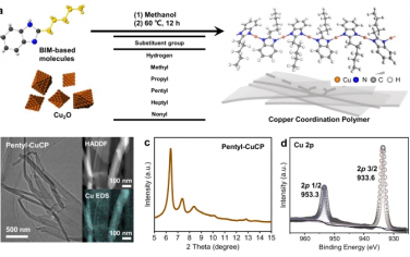 苏大&西安交通大学Nature Commun：调控聚合物内的Cu原子配位结构增强电催化还原CO2制备C2+选择性