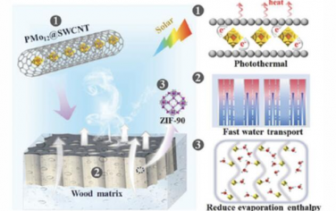 AFM：将多金属氧酸盐封装在单壁碳纳米管内以实现高效的太阳能驱动界面蒸发