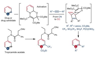 Nature Chemistry：通过从CN到CC的原子对交换对吡啶进行骨架编辑