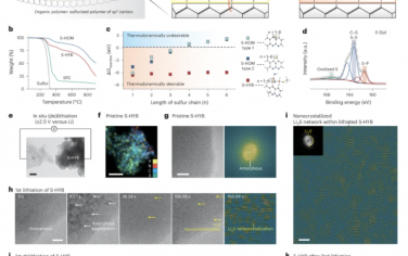 Nature Sustainability：混合聚合物网络阴极实现可溶性无多硫化物锂硫电池