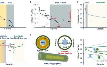  Energy Environ. Sci.：全固态 Na-S 电池的受限串联催化准固态硫可逆转化