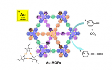 JACS：金(I)-有机框架作为炔烃与 CO2 羧化的催化剂