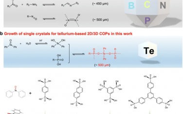 Nature Communications：通过非常规 Te-O-P 键合方式生长二维或三维共价有机聚合物大单晶