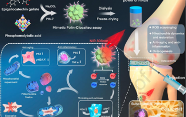 Biomaterials：钼纳米点可作为抗氧化剂实现骨关节炎光热治疗