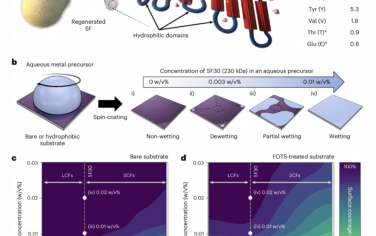 Nature Nanotechnology：丝素蛋白作为水性纳米加工的表面活性剂