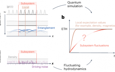 Nature Physics：混沌量子系统中波动流体力学的出现