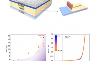 Joule：用于高效稳定有机太阳能电池的聚合物双层空穴传输层结构