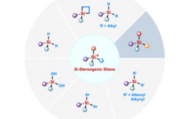 Chem：硅立体生成有机硅烷的催化不对称合成
