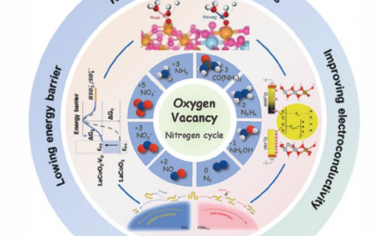 AEM：用于电催化氮循环的富氧空位金属氧化物