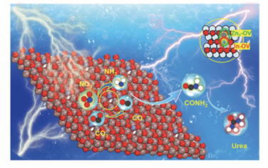 AEM：通过Zn单原子和In2O3-x的串联催化促进CO2和NO3-电还原为尿素