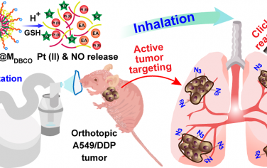 ACS Nano：生物正交化学引导的可吸入纳米前药用于规避原位非小细胞肺癌顺铂耐药