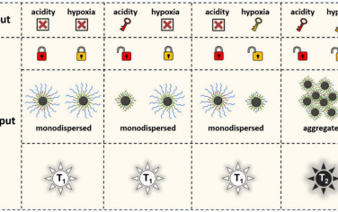 Nano Lett：具有T1−T2可切换功能的“双锁钥”MRI对比剂用于实现肿瘤的准确诊断