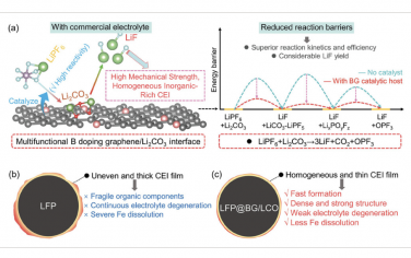 AEM：催化策略实现了高速率高稳定性锂离子电池中均匀且稳定富无机阴极电解质界面的快速形成