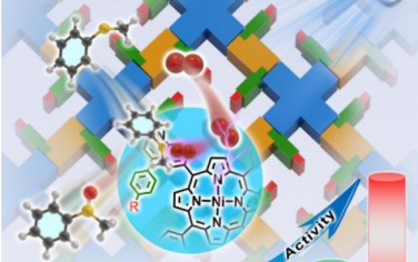 江海龙等Angew：调节外层环境增强卟啉COF光催化氧化性能