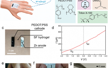 AFM：基于丝素水凝胶的柔性、生物粘附性和透气性皮肤电池，适用于可穿戴电子产品