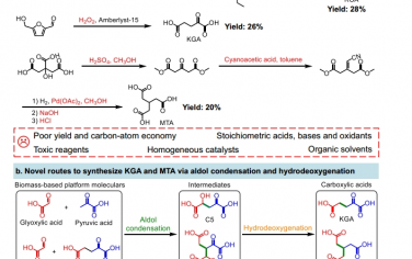 Nat Commun ：从生物质原料中可持续合成 α-酮戊二酸和甲烷三乙酸
