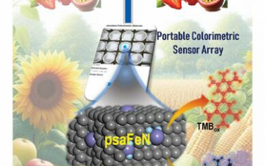 AFM：基于具有不同表面位点的多孔单原子铁纳米酶的便携式比色传感器阵列 用于识别人工成熟的水果