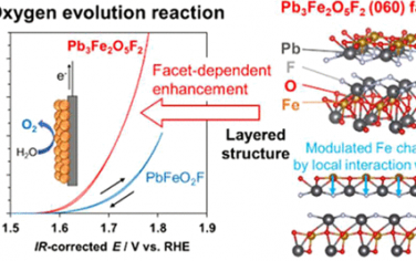 JACS：二维层状氟氧混合阴离子的晶面和混阴离子配位效应增强OER电催化