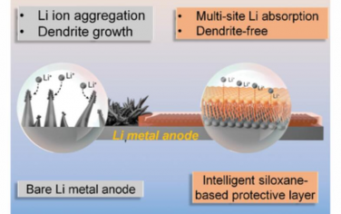 AEM：硅氧烷基保护层的自适应多位点梯度吸附实现高性能锂金属电池