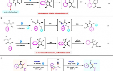 福建物质结构研究所Nature Commun：CO2促进光催化芳基从N到C原子转移合成烯基酰胺