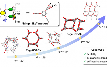 JACS：通过柔性笼构筑氢键有机骨架HOF