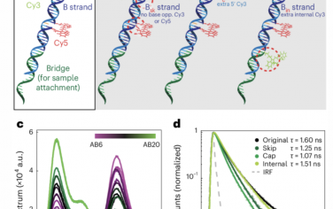 Nature Nanotechnology：多参数光谱法检测纳米结构FRET标记物的单分子荧光多路复用