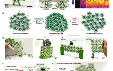 Science Advances：具有动态键重构的颗粒超材料