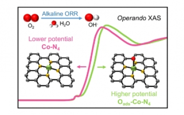 JACS：原子分散的 ZnCo-N-C 作为碱性燃料电池的 ORR 电催化剂