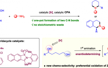 JACS：Ir催化1,5-二醇立体汇聚合成哌啶和四氢异喹啉