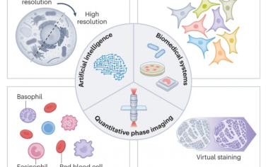 Nature Methods：人工智能使生命科学的定量相位成像方法成为可能