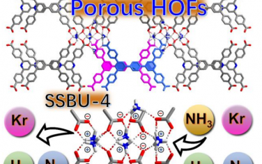 清华大学Angew：二级结构导向π堆叠构筑HOF实现优异NH3吸附