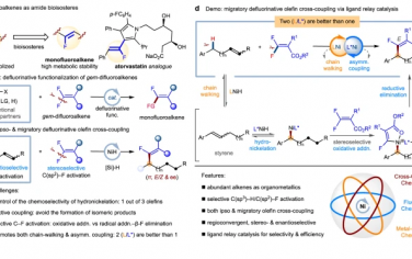 南京大学Nature Commun：烯烃的位点立体对映脱氟偶联制备氟烯烃