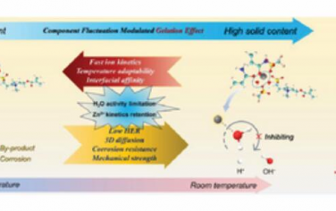 AEM：凝胶效应使锌离子电池具有温度适应性