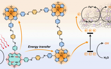 JACS：同时质子化和金属化卟啉共价有机框架以增强光动力治疗