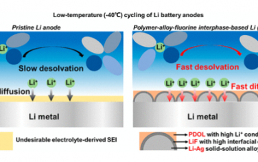 ACS Nano：混合聚合物-合金-氟化物界面相实现低温锂金属电池的快速离子传输动力学
