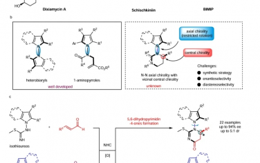 Nat Commun：N-N轴向手性吡咯和吲哚的有机催化非对映和逆向选择性构建