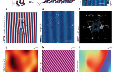 Nature Physics：通过在UTe₂中产生拓扑缺陷对来熔化电荷密度波