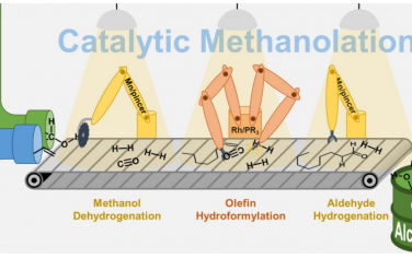 Angew：甲醇和烯烃低压生成高级醇