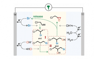 JACS：纳米尖端上溴自由基介导的环氧氯丙烷的无膜电合成