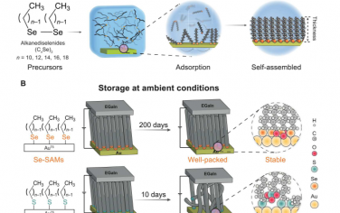 Science Advances：用于空气稳定分子连接的超长寿命自组装单分子层