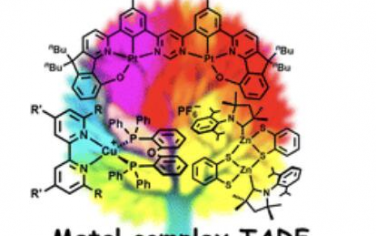 Chem. Soc. Rev.：基于金属络合物的TADF：设计、表征和照明设备