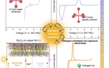 Joule：通过电解质调节实现的可充电非水锰金属电池