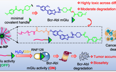 JACS：自组装纳米分子胶（Nano-mGlu）可实现GSH/H2O2触发的靶向蛋白降解以用于癌症治疗