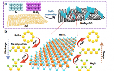 Nat Commun：非水系室温钠硫电池插层型催化剂