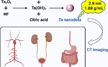 ACS Nano：克级合成可通过肾脏清除的高水溶性钽纳米点以用于计算机断层成像