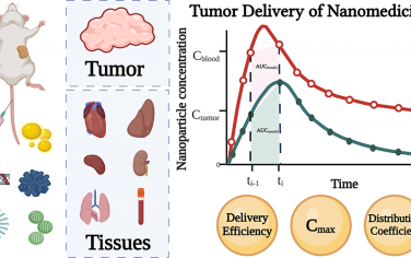 ACS Nano：对纳米颗粒在荷瘤小鼠肿瘤和主要器官中的分布进行meta-分析