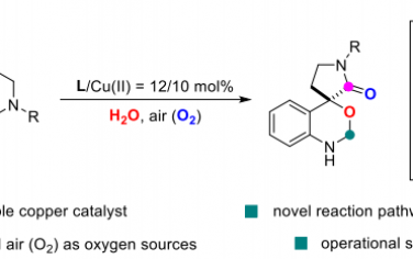 Angew：以 H2O 和 O2 作为氧源的铜催化四氢-β-咔啉的氧化骨架重排