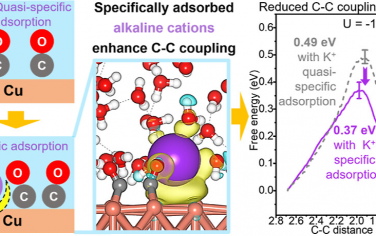 华中科技大学&西安交通大学JACS：碱金属离子特异性吸附增强电催化还原CO2生成C2+