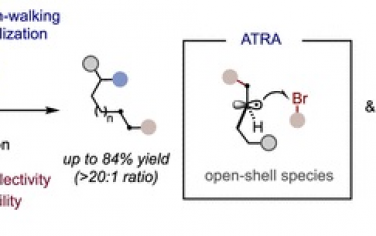 JACS：Ni催化烯烃区域发散双官能团化